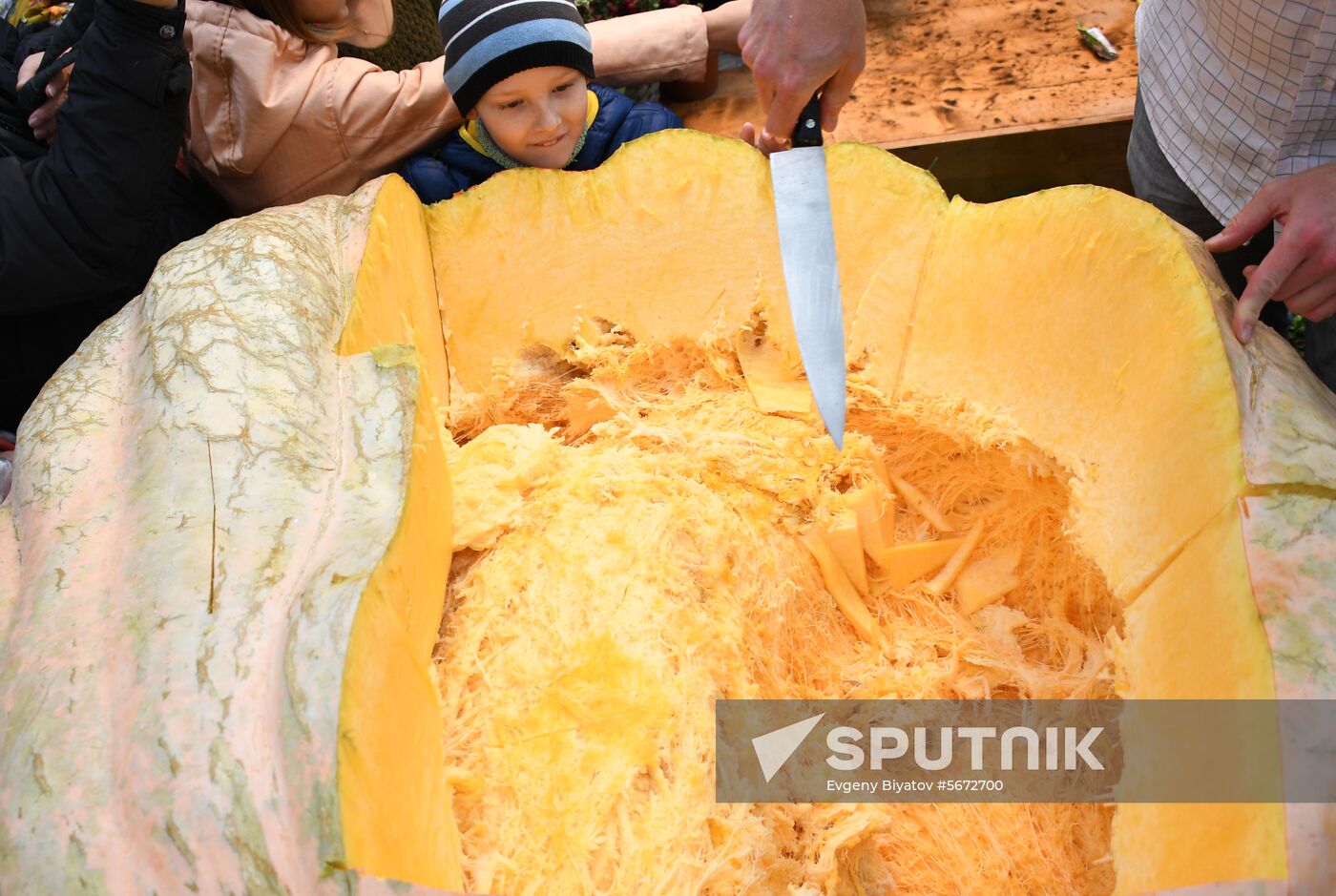 Russia Giant Pumpkin