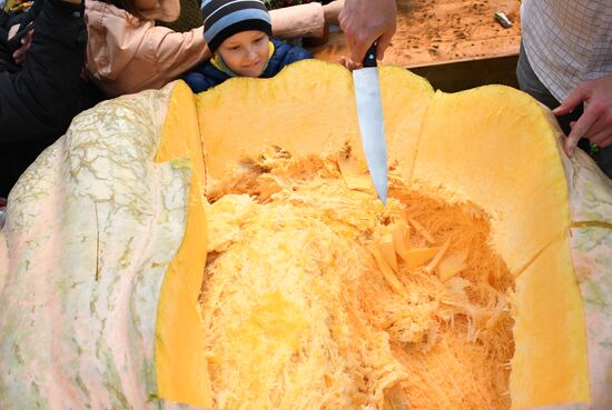 Russia Giant Pumpkin