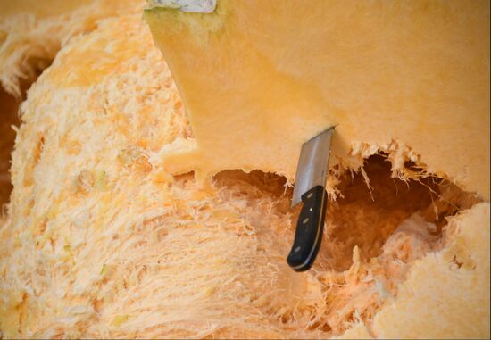Russia Giant Pumpkin