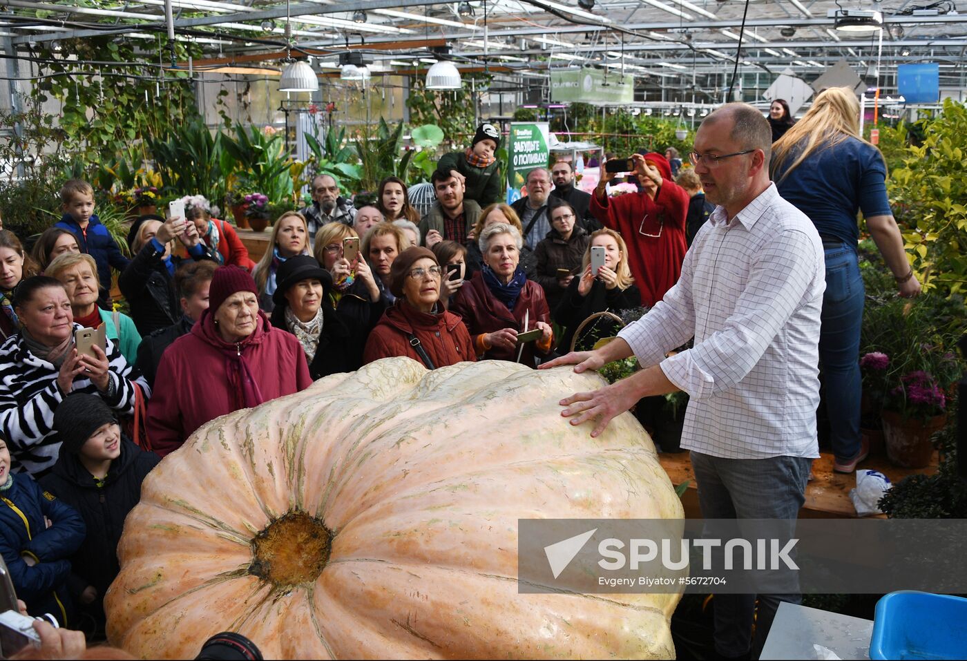 Russia Giant Pumpkin