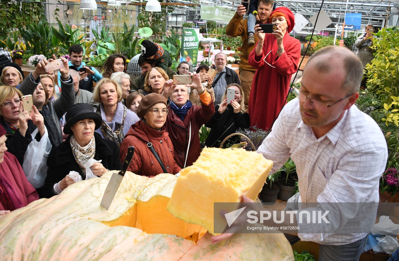 Russia Giant Pumpkin