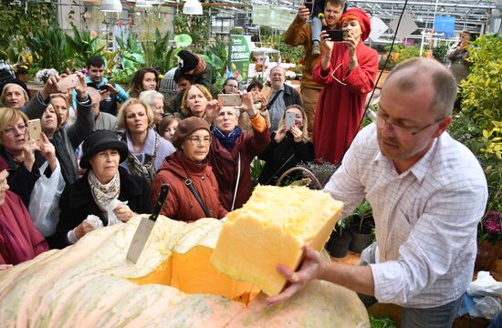 Russia Giant Pumpkin