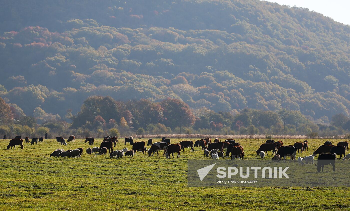 Russia Regions Adygea