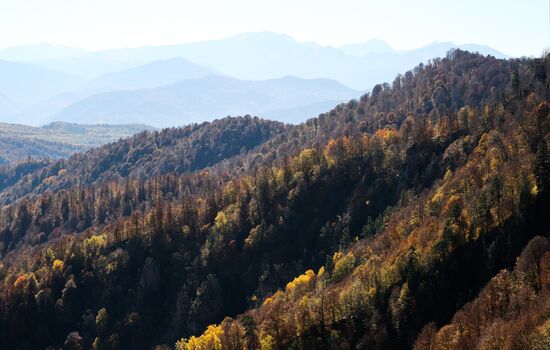 Russia Regions Adygea