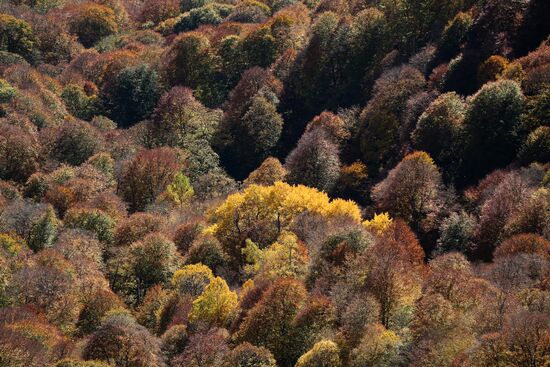 Russia Regions Adygea