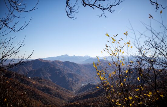 Russia Regions Adygea