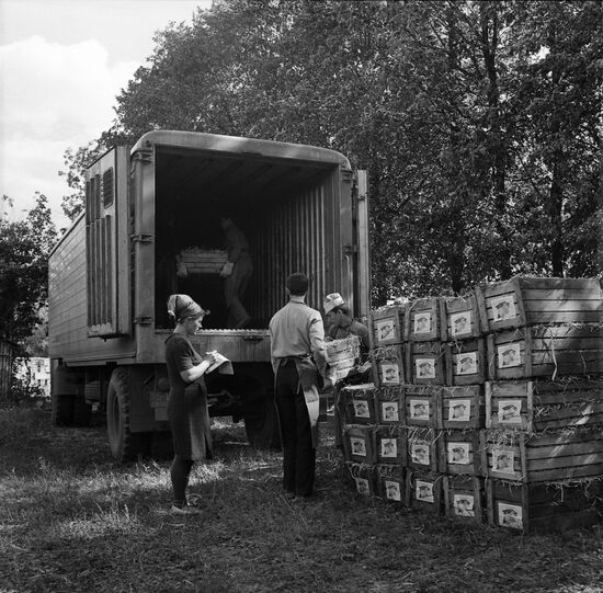 Agronom state farm in Lipetsk Region