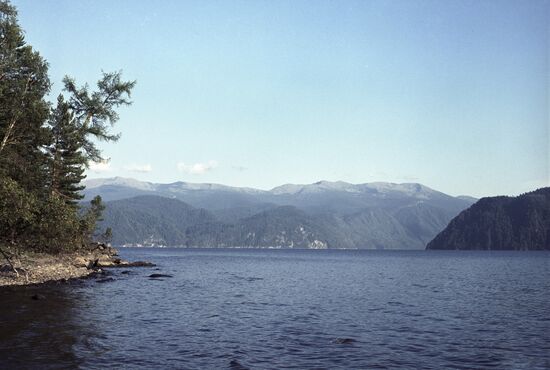 Altai natural reserve