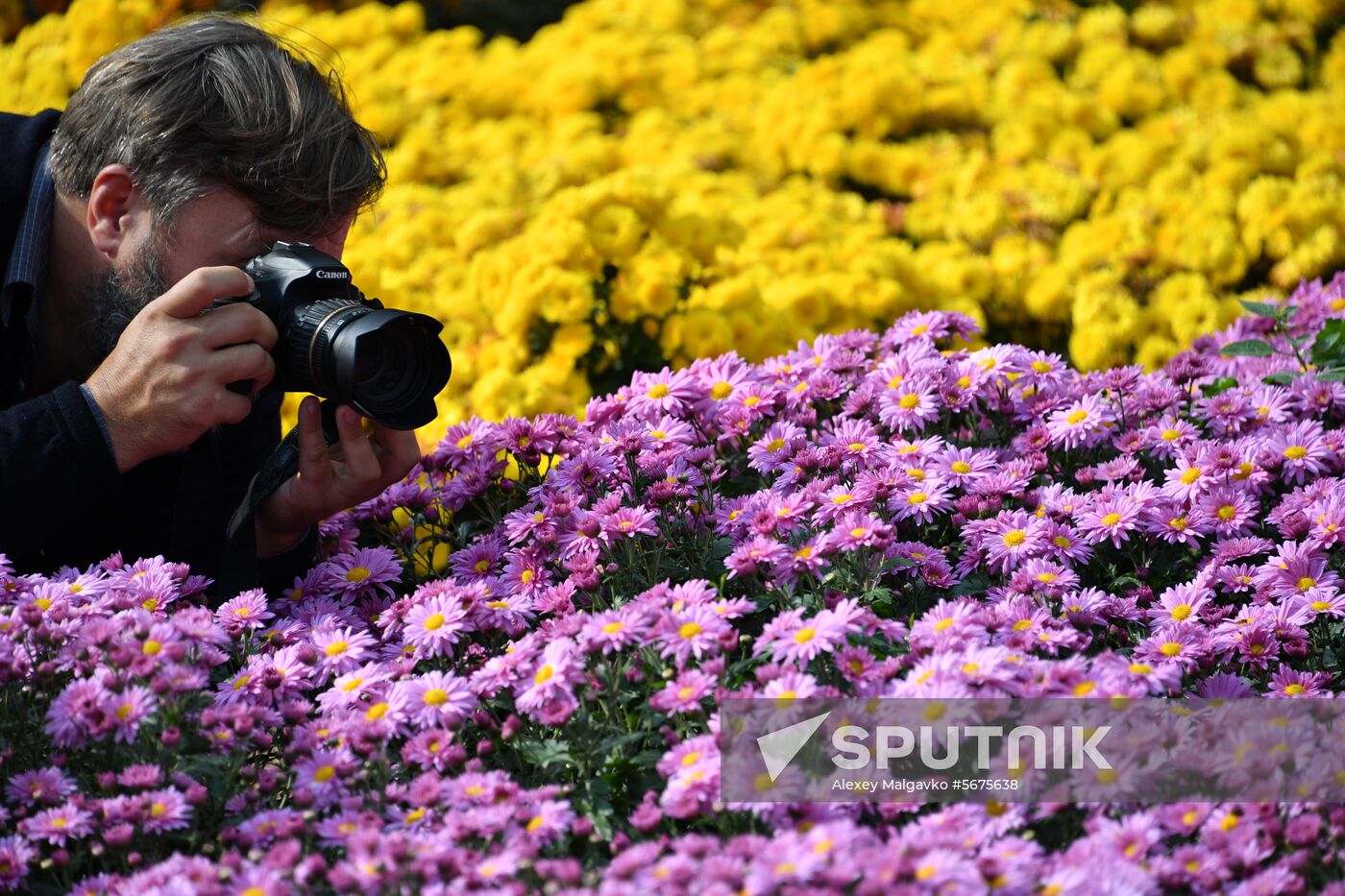 Russia Crimea Flowers