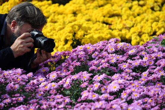 Russia Crimea Flowers