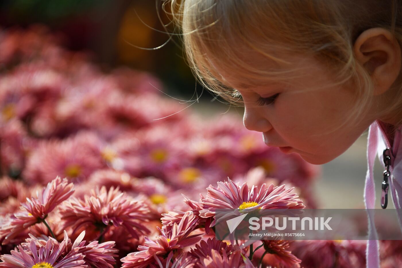 Russia Crimea Flowers