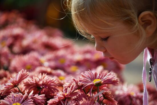Russia Crimea Flowers