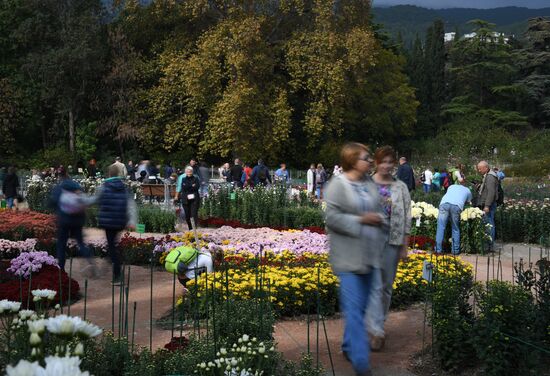 Russia Crimea Flowers