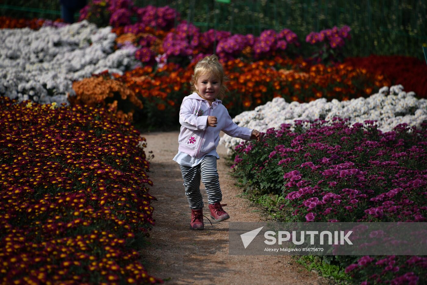 Russia Crimea Flowers
