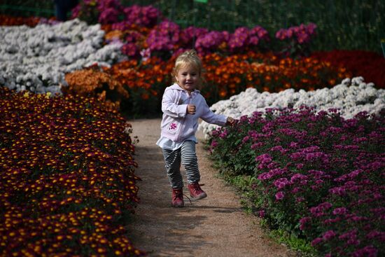 Russia Crimea Flowers