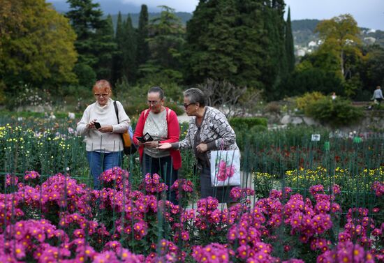 Russia Crimea Flowers