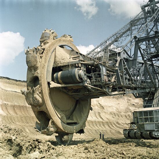 Multi-bucket rotor excavator