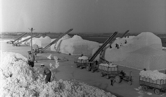 Cotton-storing yard in Uzbekistan