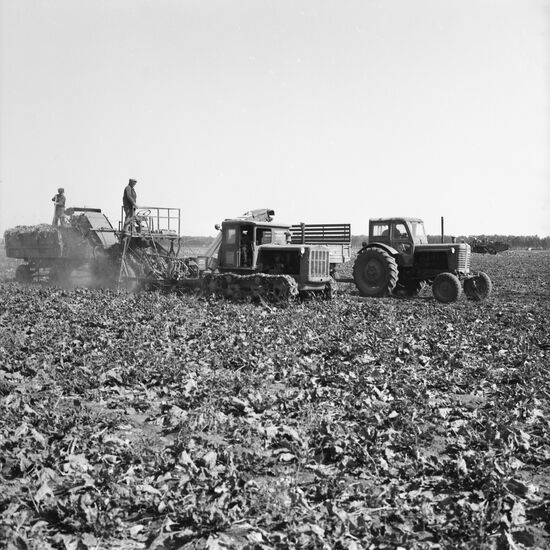 Kolkhoz "Our Motherland"