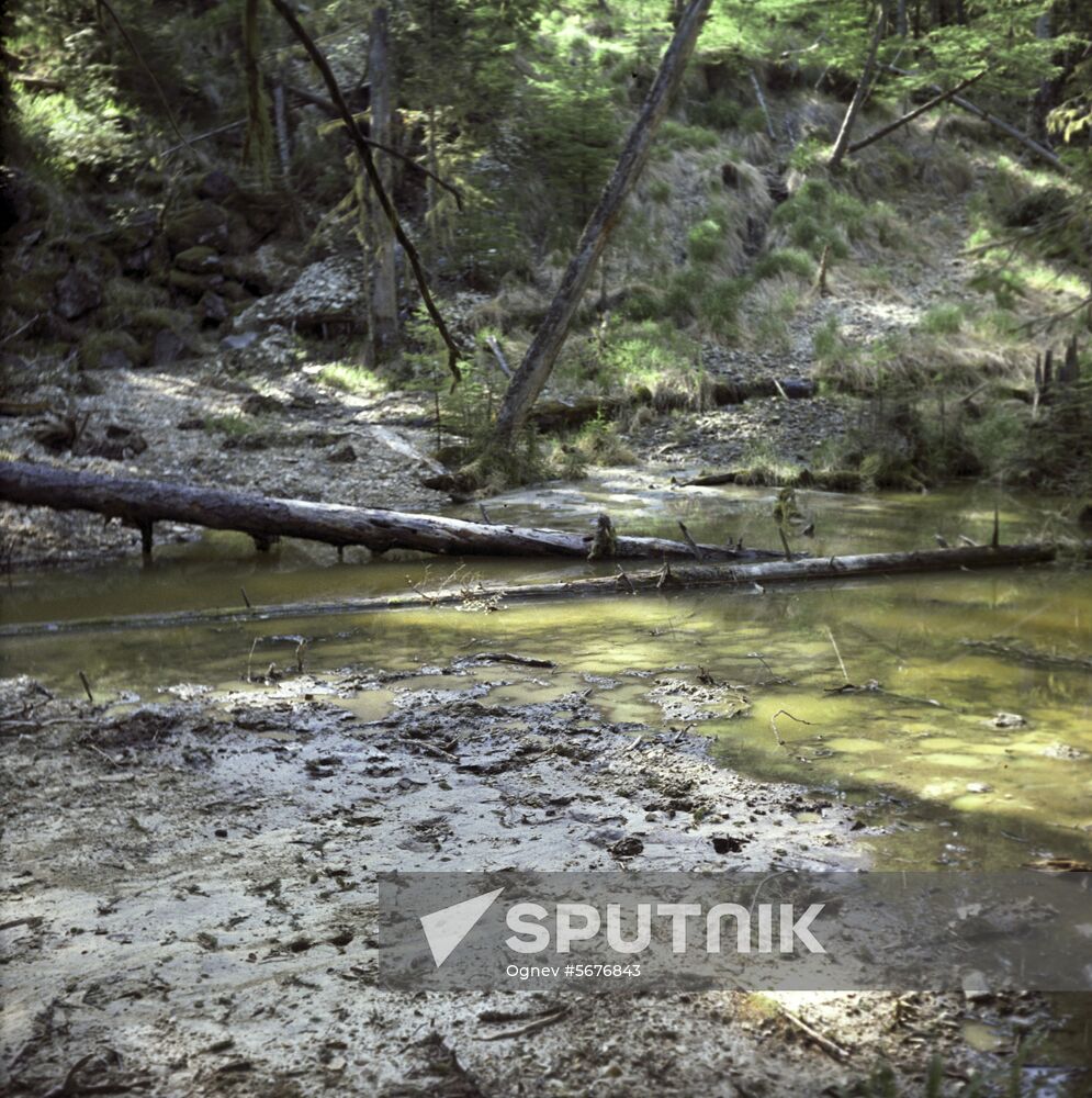Sikhote-Alin Nature Reserve