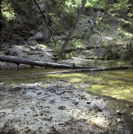 Sikhote-Alin Nature Reserve