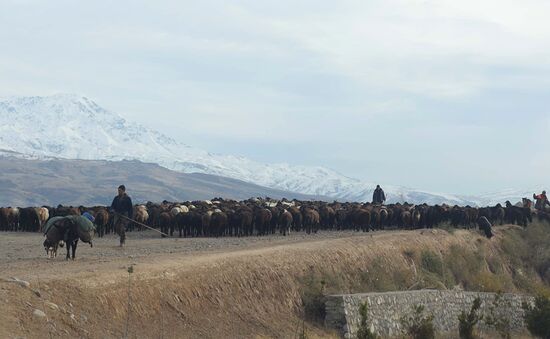 Tajikistan 
