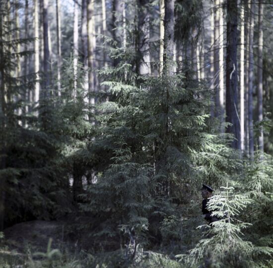 Berezinsky Biosphere Reserve