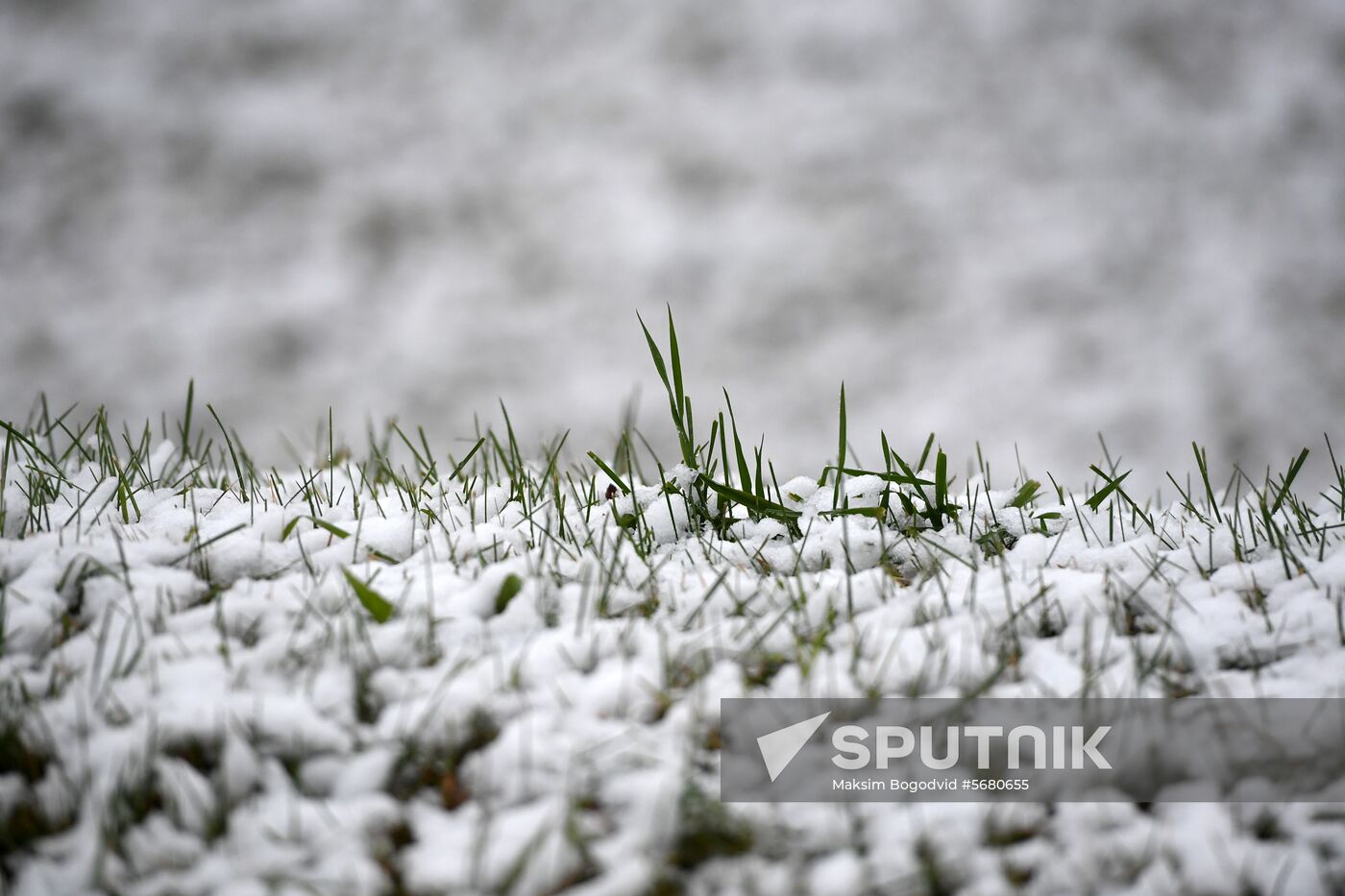 Russia Snowfall