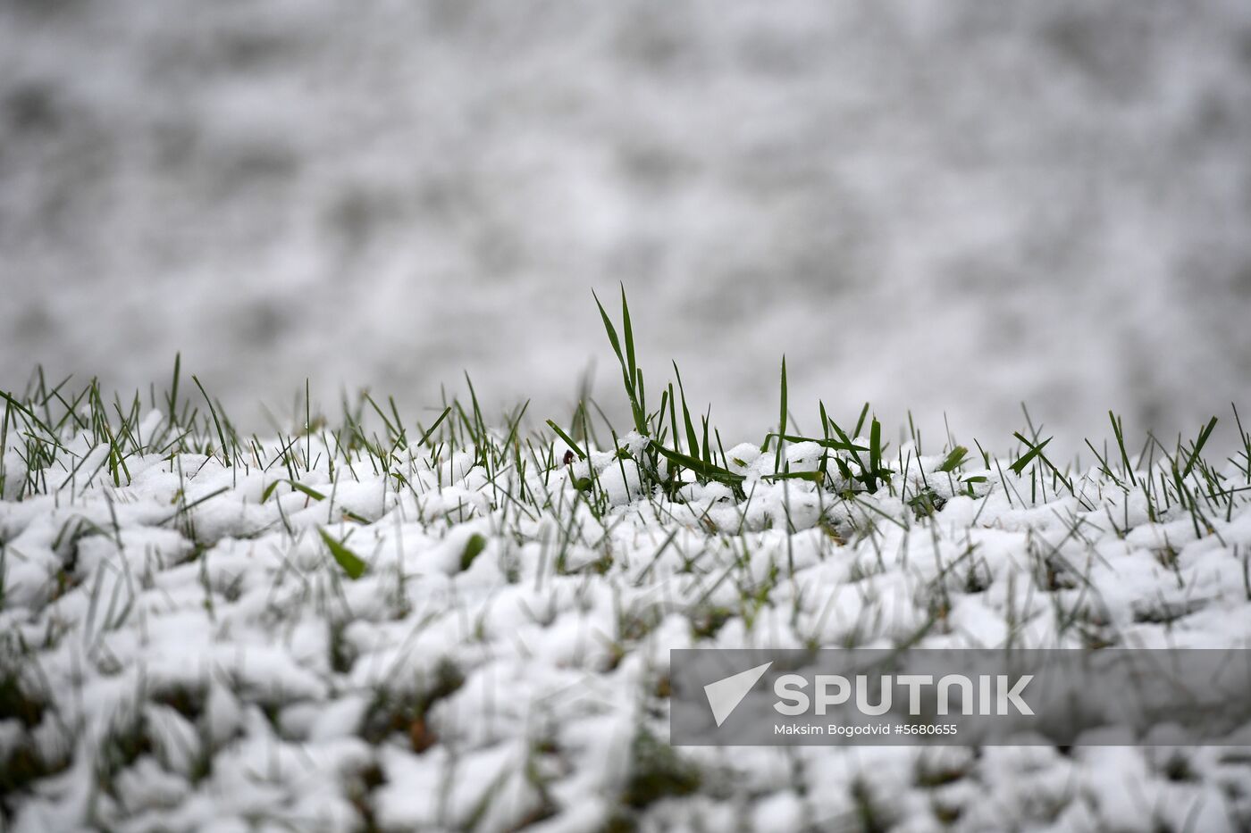 Russia Snowfall