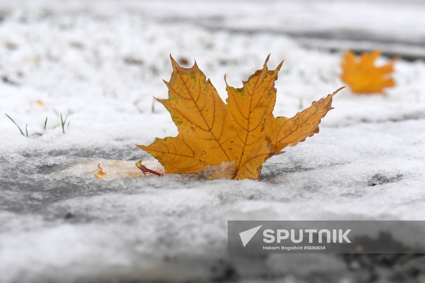 Russia Snowfall
