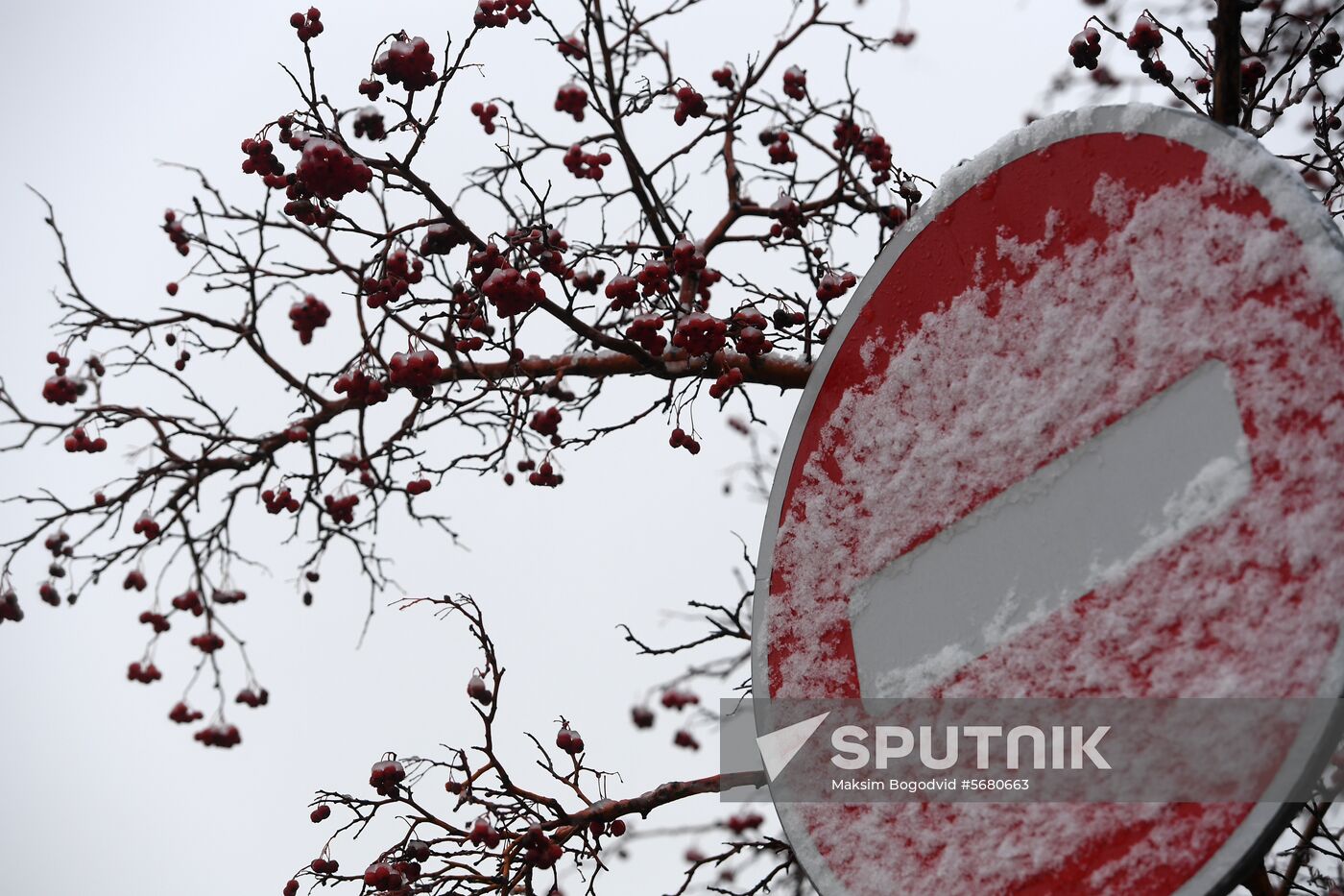 Russia Snowfall