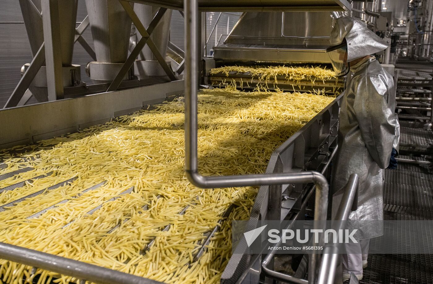 Russia Potatoes Harvest