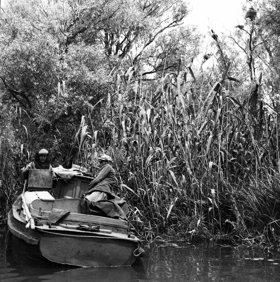 Astrakhan Nature Reserve