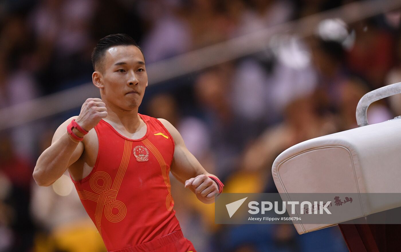 Qatar Artistic Gymnastics Worlds