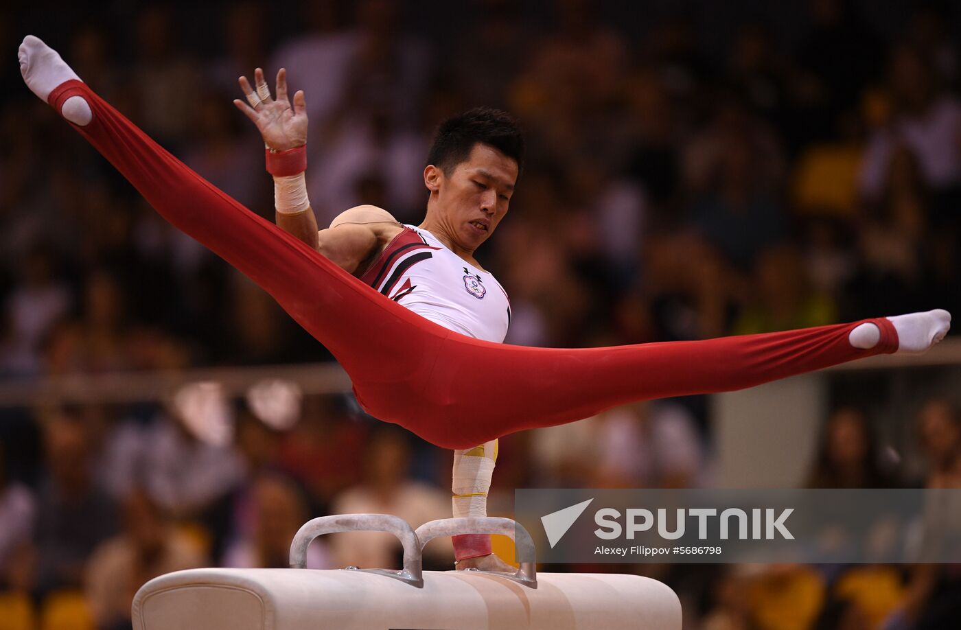 Qatar Artistic Gymnastics Worlds