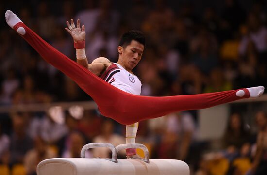 Qatar Artistic Gymnastics Worlds