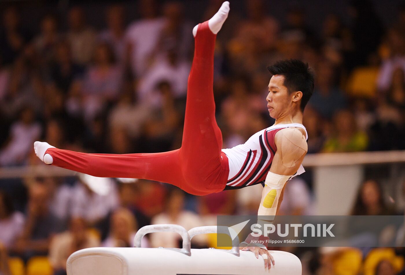 Qatar Artistic Gymnastics Worlds