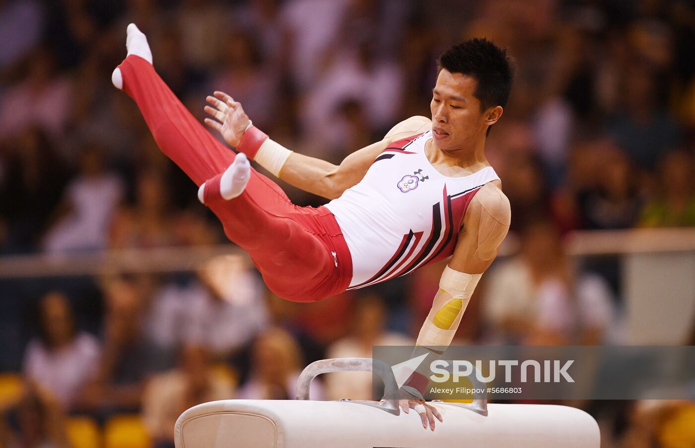 Qatar Artistic Gymnastics Worlds