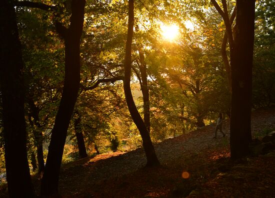 Republic of Abkhazia Autumn