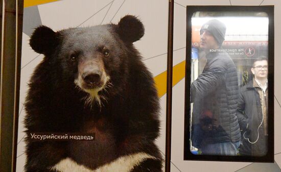 Russia Decorated Metro Train