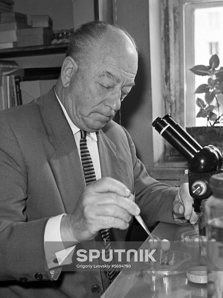 Professor Zenkevich
