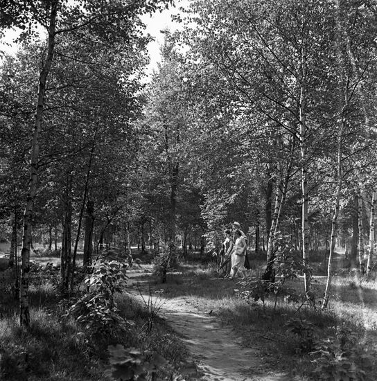 Moscow's Sokolniki Park