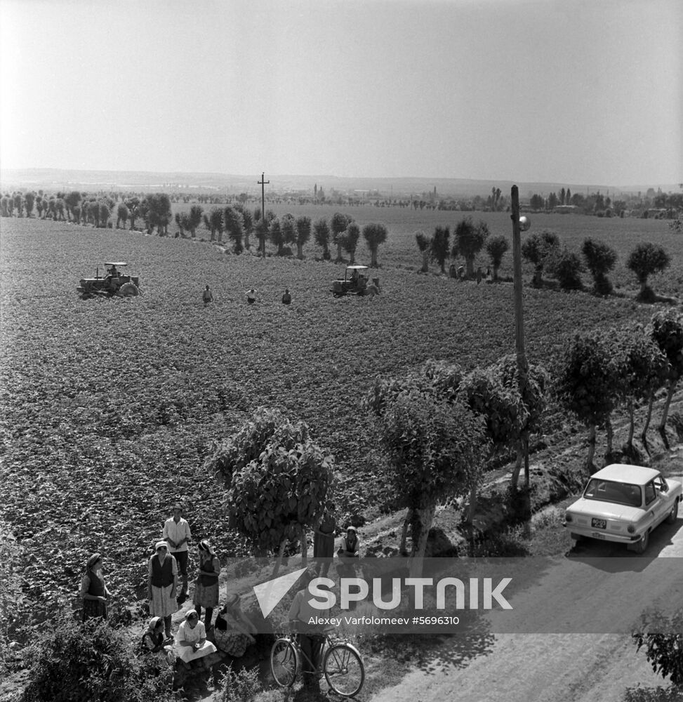 Pravda Vostoka collective farm in Uzbek SSR