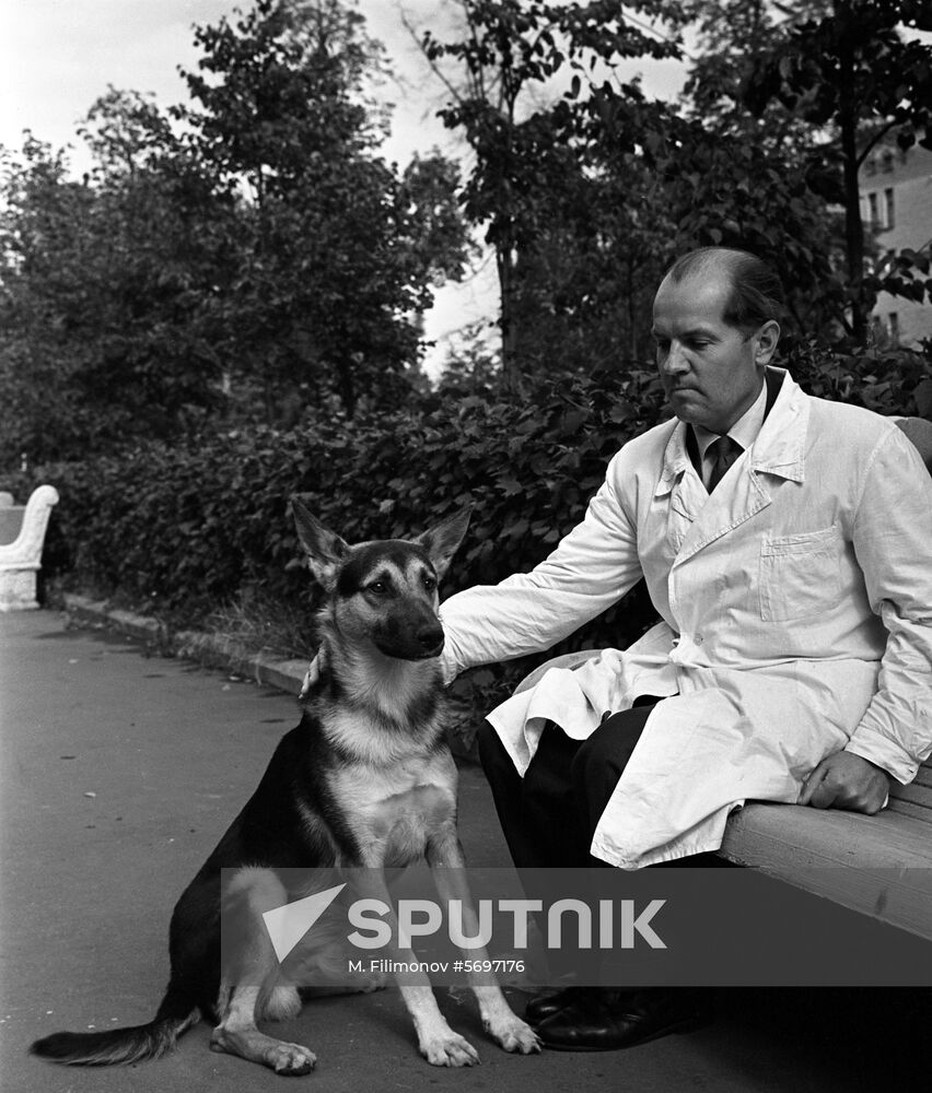 Soviet organ transplant surgeon Vladimir Demikhov
