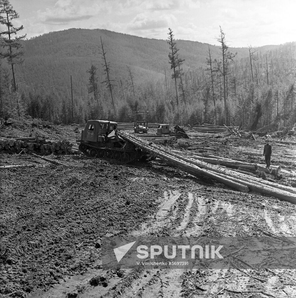 Cooperation between Soviet and Korean loggers