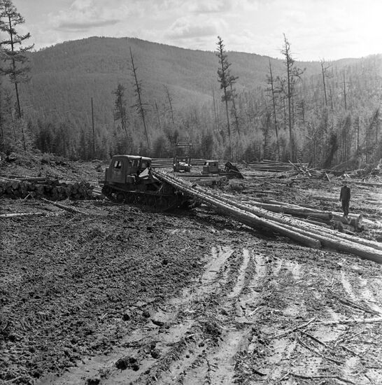 Cooperation between Soviet and Korean loggers
