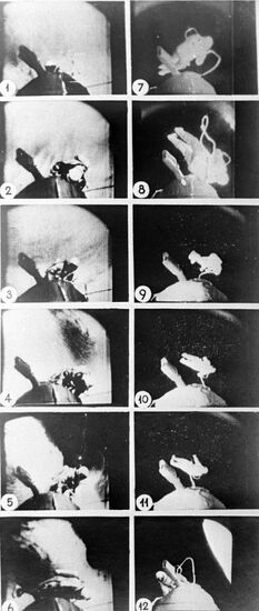 Leonov's spacewalk