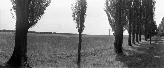 Kavkaz collective farm in the Krasnodar Territory