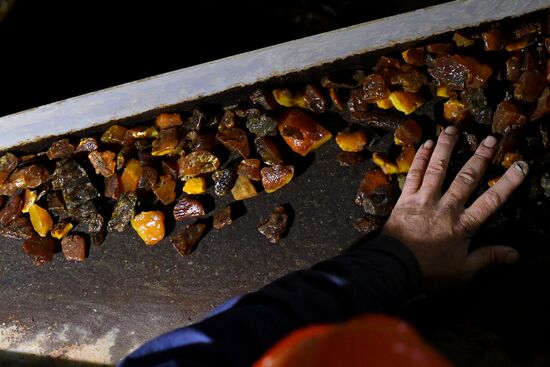 Russia Amber 