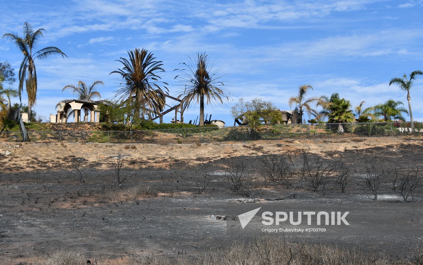 Consequences of wildfires in California